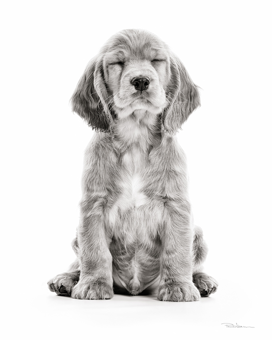 Wilkinson_gallery_08