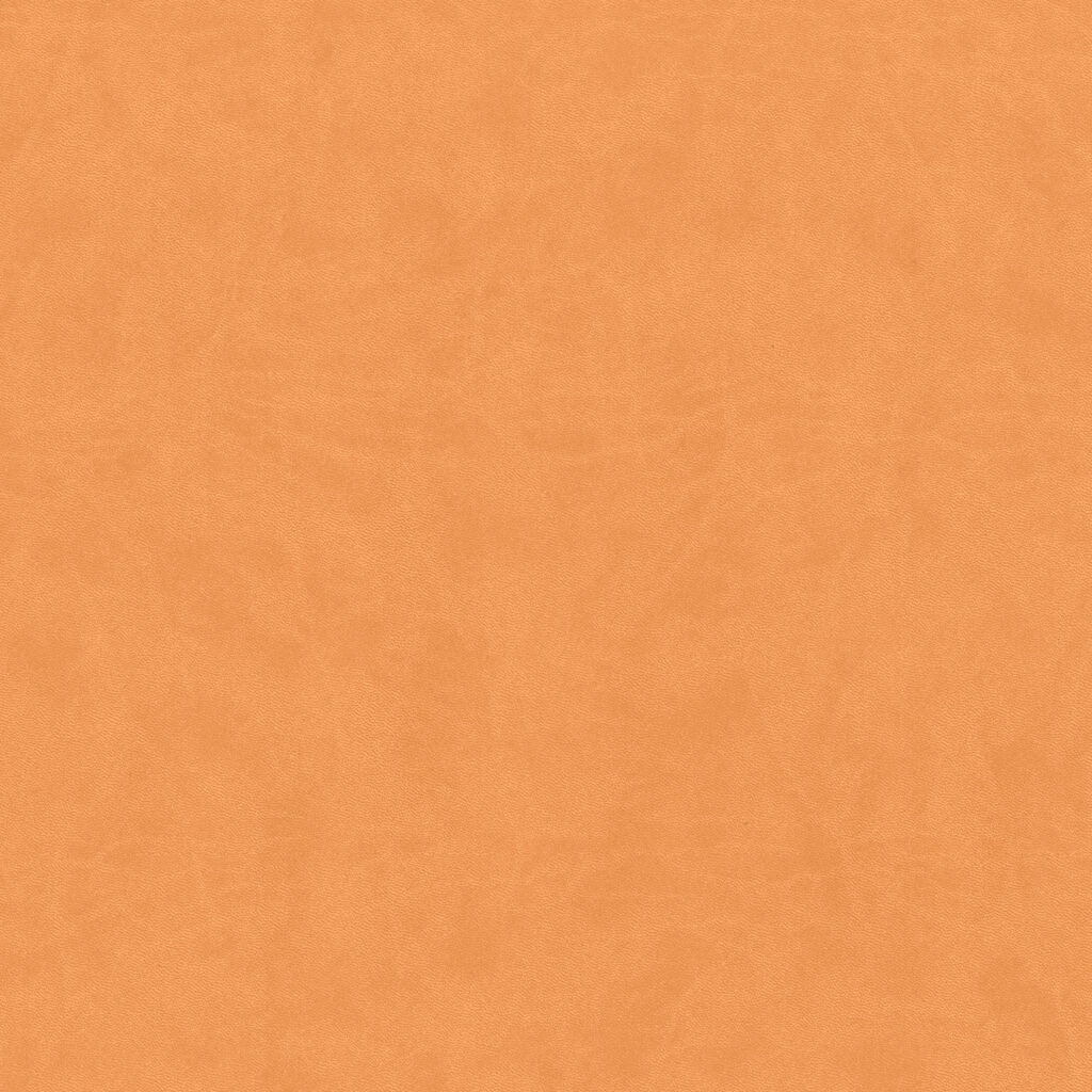 Fn276 Light Orange