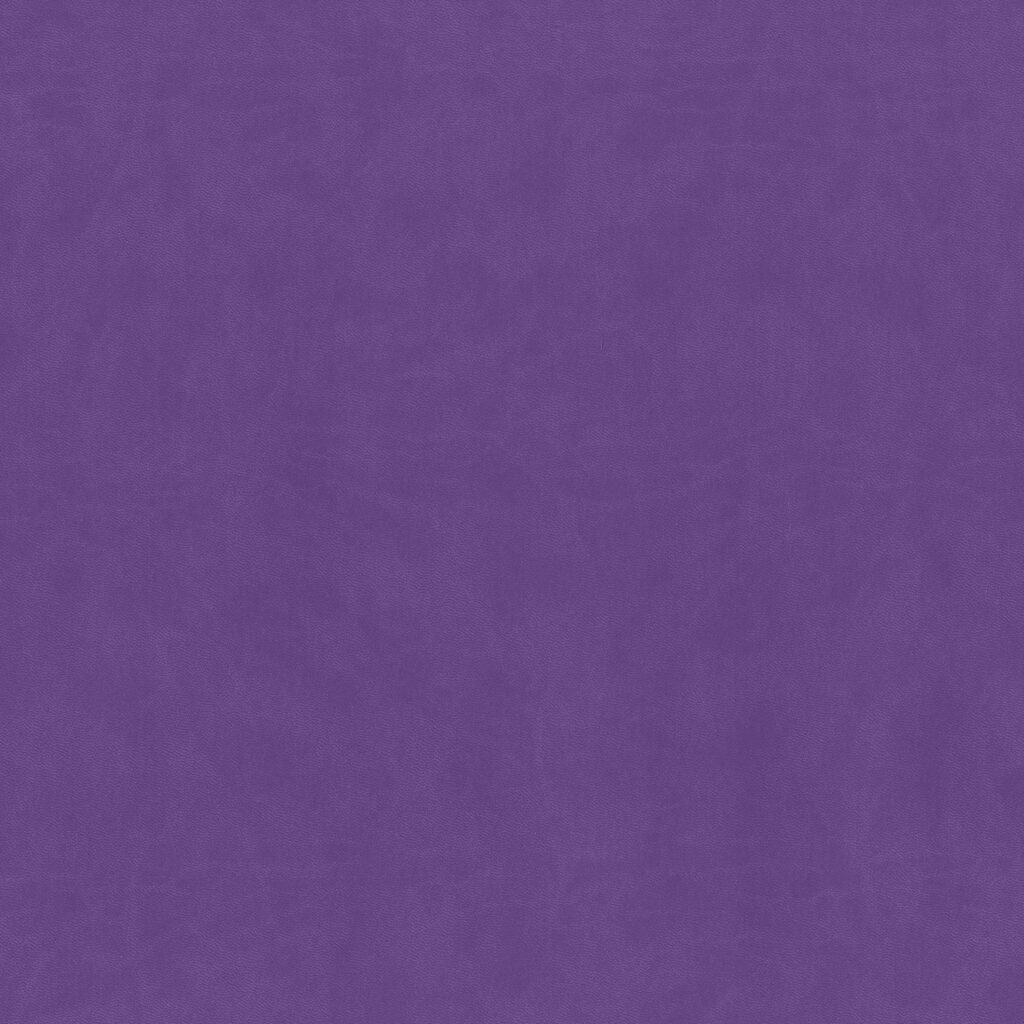Fn4864 Purple