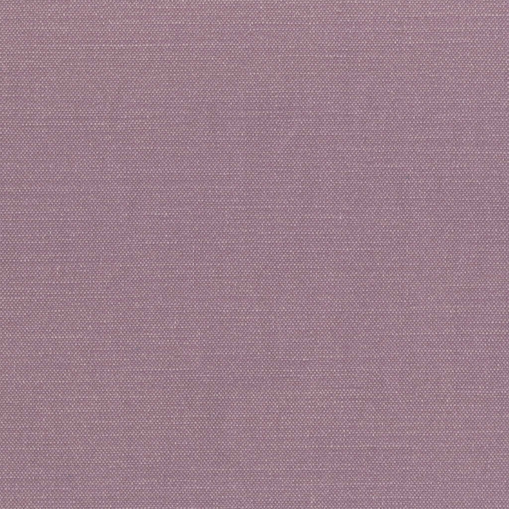 Tc08 Lilac